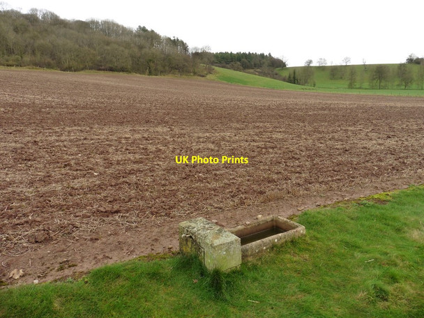Photo 6"x4" Bare field and water trough, Hurcot Somerton\/ST4828 c2017
