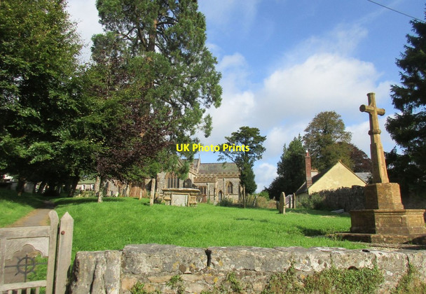 Photo 6"x4" The churchyard, Thorncombe Gribb c2017