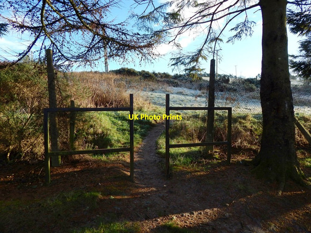 Photo 6"x4" Entering Pappert Well Community Woodland Alexandria c2017