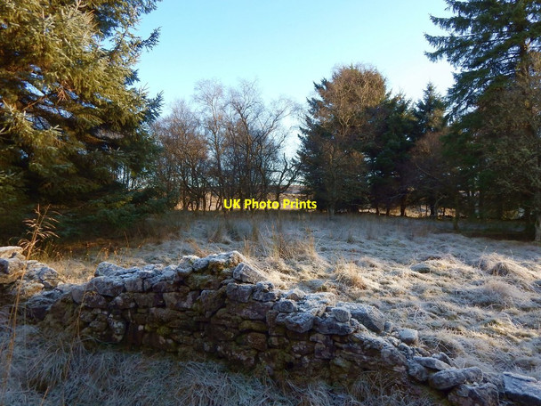 Photo 6"x4" Wall at the edge of the woods Alexandria c2017