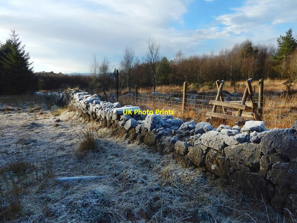 Photo 6"x4" Dry-stone wall and stile Alexandria c2017