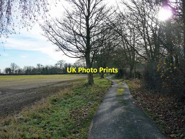 Photo 6"x4" Hall Lane, Frampton (2) Frampton\/TF3239 c2017