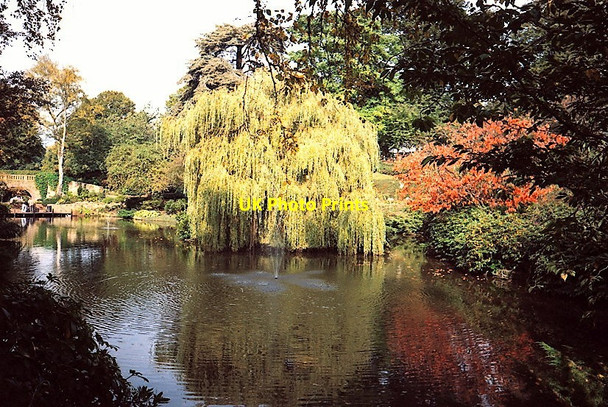 Photo 6"x4" Quarry Gardens Shrewsbury Shrewsbury c1993