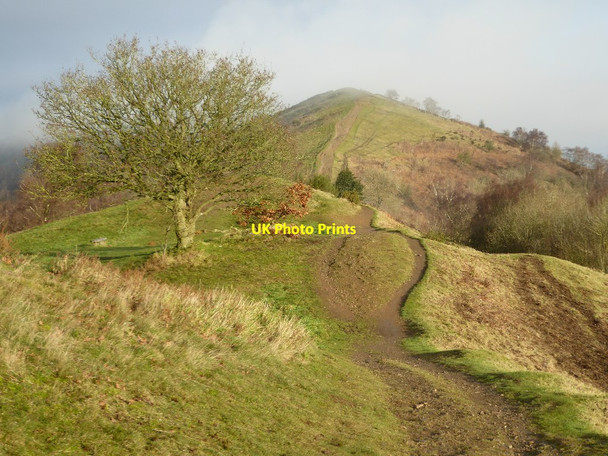 Photo 6"x4" Path on the Malvern Hills Little Malvern c2017