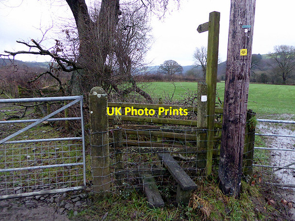 Photo 6"x4" Waymarked footpath to Maes Bangor Capel Bangor c2017