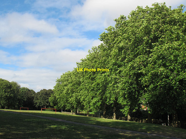 Photo 6"x4" Riverside Park Bristol c2017