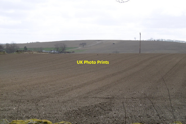 Photo 6"x4" Sown spring barley Sauchen c2017
