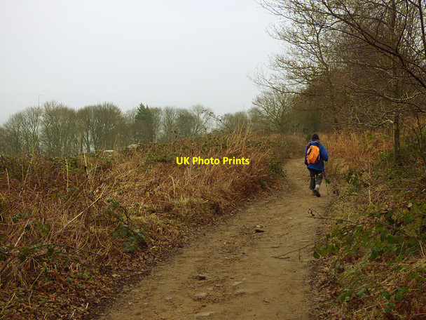 Photo 6"x4" Miller Lane Otley\/SE2045 c2017