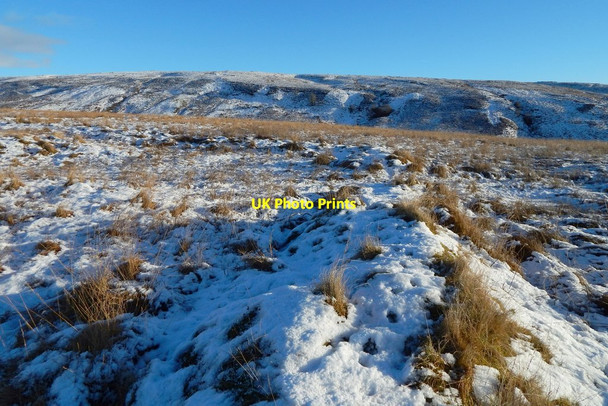 Photo 6"x4" Old boundary Bonhill c2017