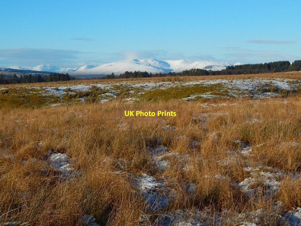 Photo 6"x4" Beside Auchenreoch Glen Bonhill c2017