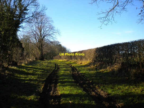 Photo 6"x4" Track to Heath House from Wergs Hall Road Oaken c2017