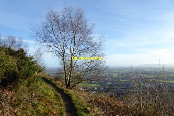 Photo 6"x4" Path on the Malvern Hills Great Malvern c2017