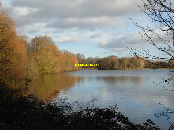 Photo 6"x4" Colwick Country Park Carlton\/SK6041 c2017