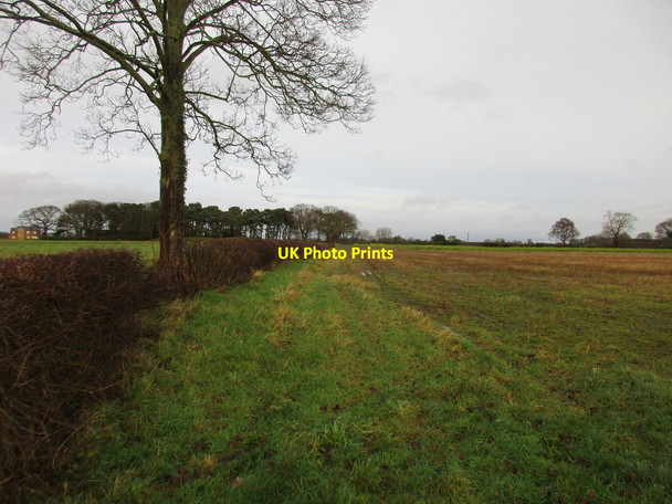 Photo 6"x4" Field edge near Gillrudding Grange Deighton\/SE6244 c2017
