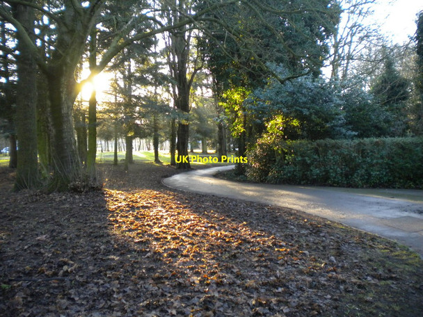 Photo 6"x4" December afternoon sunlight in East Park, Wolverhampton (1) Wolverhampton c2017
