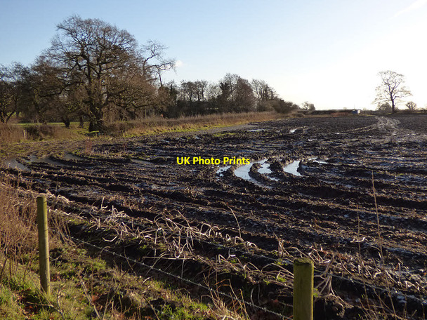 Photo 6"x4" Cheshire mud Salterswall c2017