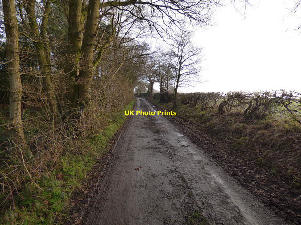 Photo 6"x4" Byway to Marton Hole  Marton\/SJ6168 c2017