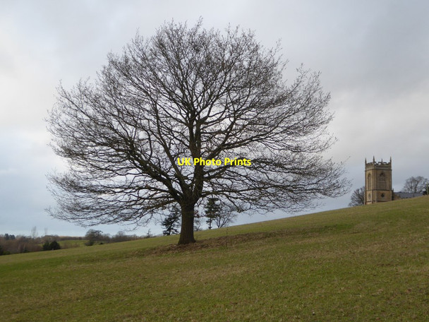 Photo 6"x4" Bare tree and Croome church Dunstall Common c2018