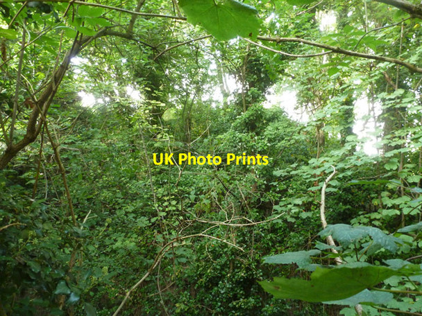 Photo 6"x4" The fourth Bartlow Hill Bartlow c2015