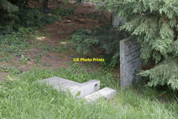Photo 6"x4" Headstones under the tree Easington\/SU6697 c2017