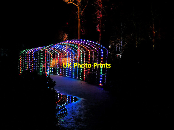 Photo 6"x4" Christmas at Dunham Massey - The Illuminated Pergola Dunham Town c2017