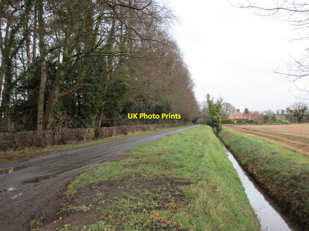Photo 6"x4" Howden Lane Crockey Hill c2017 P1