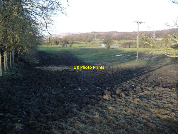 Photo 6"x4" Paddock in the Dearne valley Barnsley\/SE3406 c2017