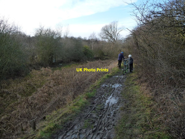Photo 6"x4" Cyclists on the Dearne Way Barnsley\/SE3406 c2017