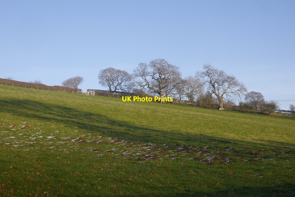 Photo 6"x4" Field, Clunton Clunton c2017