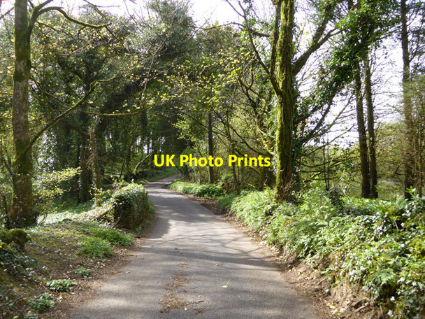 Photo 6"x4" Lane heading west, Chelynch Doulting c2017