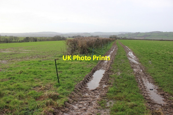 Photo 6"x4" Farm Track near Pudleylake Axminster c2018