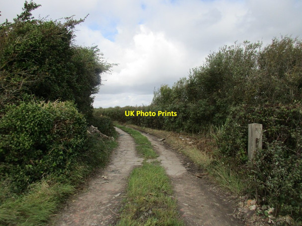 Photo 6"x4" Bridleway on Bleadon Level Batch c2017