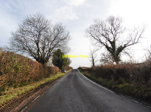 Photo 6"x4" Minor road to Wedmore Washbrook\/ST4250 c2018