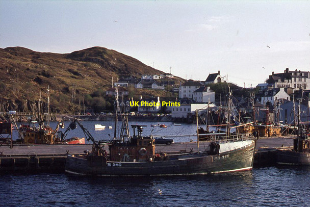 Photo 6"x4" Mallaig Harbour Courteachan c1978