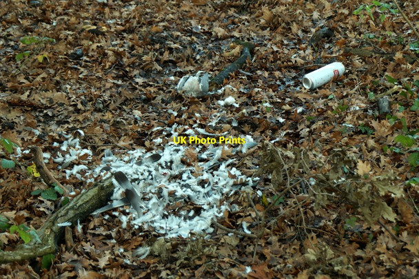 Photo 6"x4" The demon drink, Chessington Chessington c2018