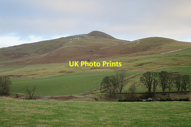 Photo 6"x4" Looking over Howgate Hownam c2018