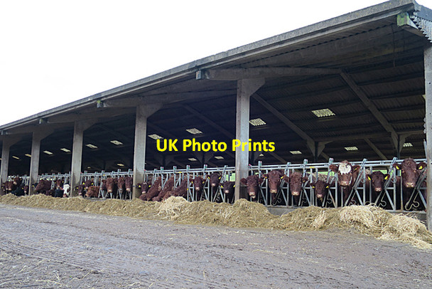 Photo 6"x4" Early Lunch Morebattle c2018