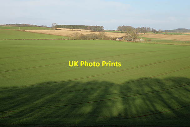 Photo 6"x4" Long Shadows Morebattle c2018