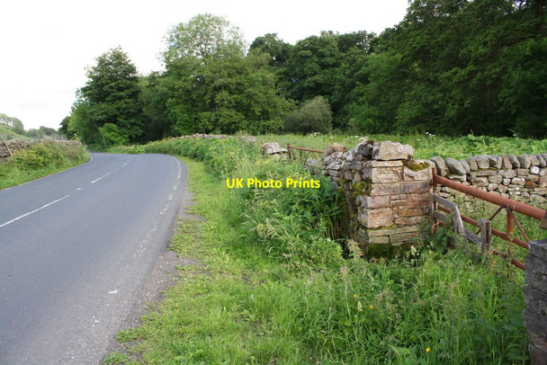 Photo 6"x4" Gateway beside A684 at approach to Pry House Appersett c2017
