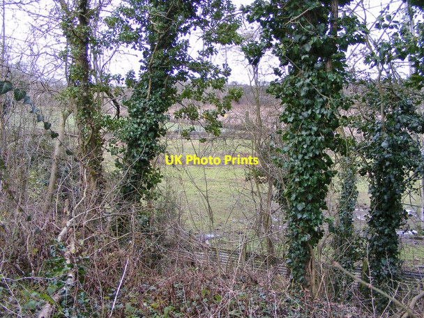 Photo 6"x4" Hidden Pylon Orton\/SO8695 c2018
