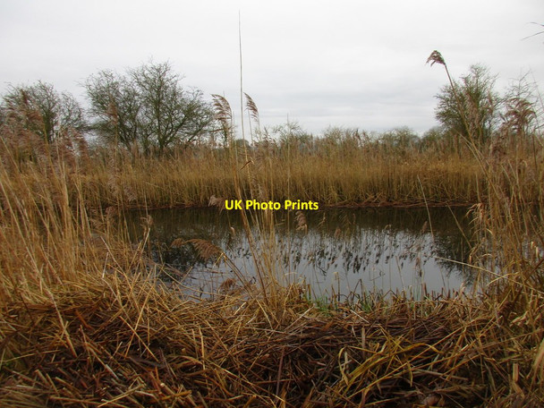 Photo 6"x4" The Leven Canal Aike c2018