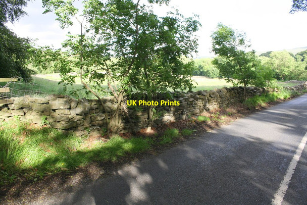 Photo 6"x4" Dry stone wall beside A684 SE of Rigg House Appersett c2017