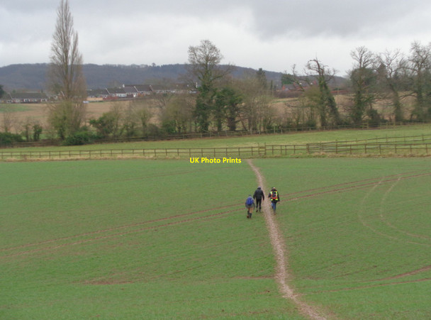 Photo 6"x4" Footpath over the fields at Alfrick Alfrick c2018
