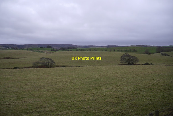 Photo 6"x4" Fields, Longyester Gifford c2017