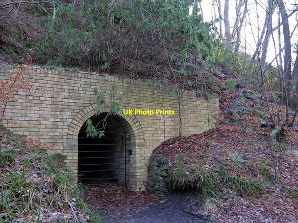 Photo 6"x4" Snipes Dene Pit, Gibside Rowlands Gill c2018