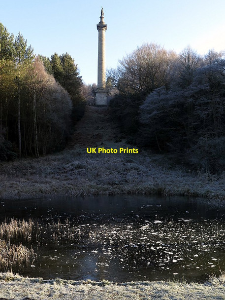 Photo 6"x4" Column to Liberty, Gibside (from the west) Rowlands Gill c2018