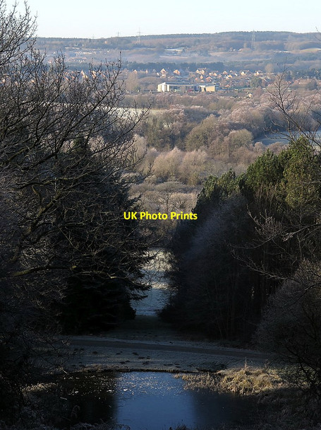 Photo 6"x4" View west from the Column, Gibside Rowlands Gill c2018