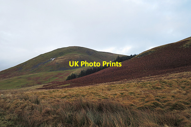 Photo 6"x4" Hindhope Hill Upper Hindhope c2018