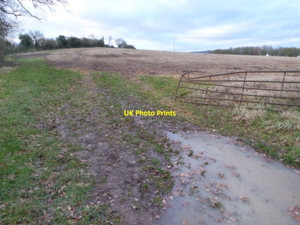 Photo 6"x4" Field near The Hyde Farm The Hyde\/SO8340 c2018