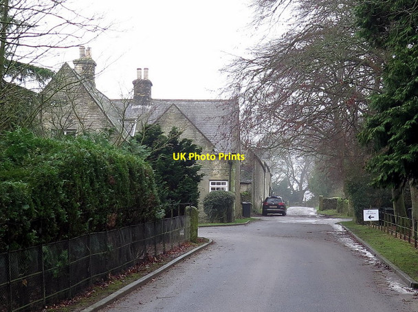 Photo 6"x4" Road near Newbiggin Newbiggin\/NY9549 c2018